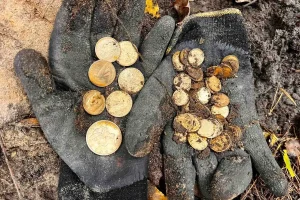 “Passeio pela Floresta Revela 2.000 Moedas Medievais de Valor Inestimável: A Maior Descoberta Europeia de 2025”